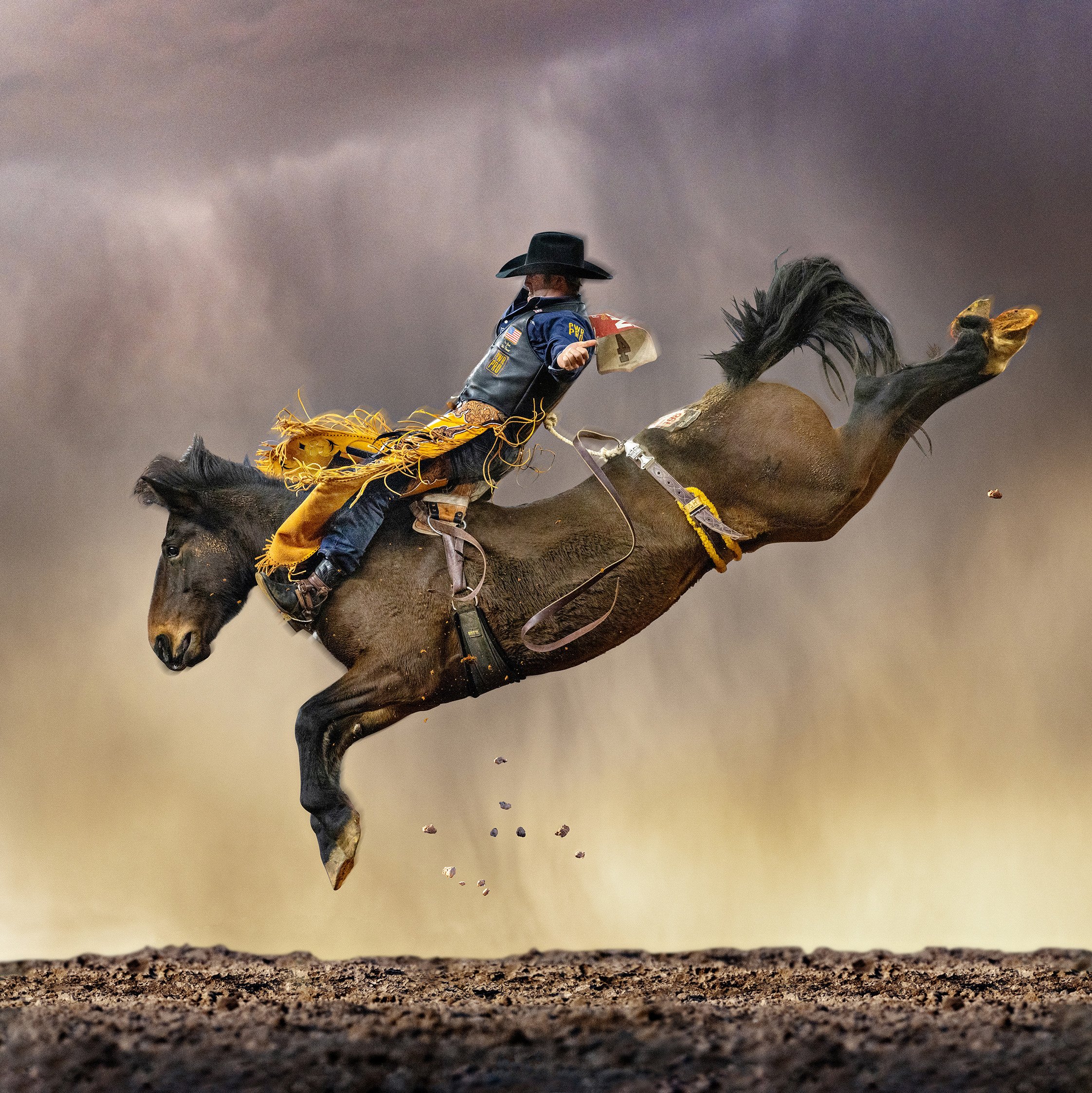 Christopher Martin Gallery—New Mexico Rain
